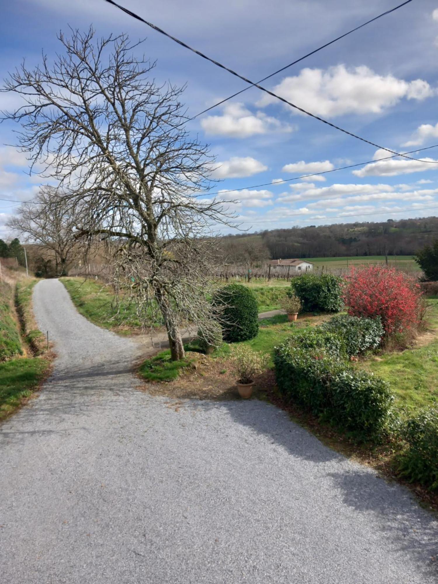 Maison De Campagne Les Chenes. Panjas Exterior foto